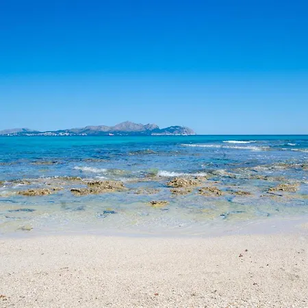 Biel Port de Alcudia (Mallorca)